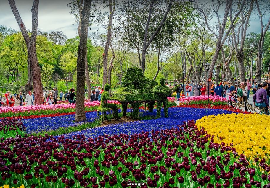 Парк Эмирган в пик цветения тюльпанов