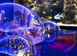 Стамбульский аквариум