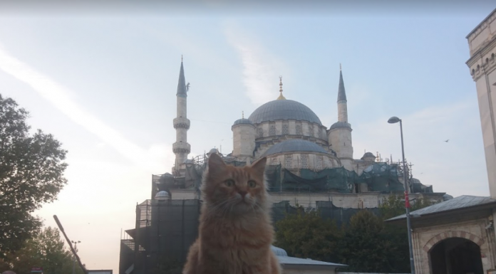 Новая мечеть в Стамбуле - мечеть валиде султан